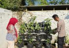 Polres Malang dan Jajaran Maksimalkan Pekarangan Pangan Lestari untuk Perkuat Ketahanan Pangan