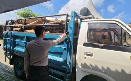 Polres Malang Bekuk Praktik Pembalakan Hutan