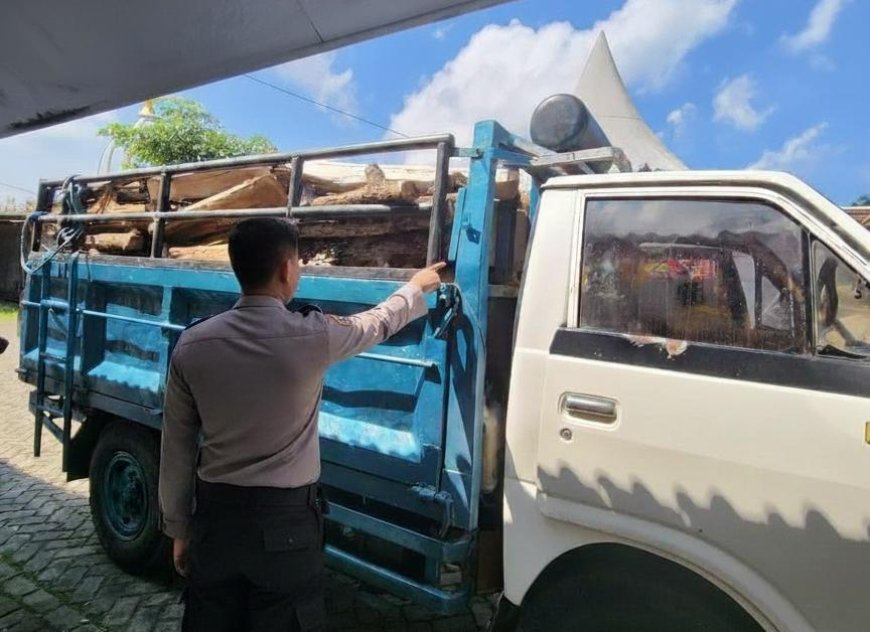 Truk Kayu Diamankan, Polisi Dalami Kasus Pembalakan