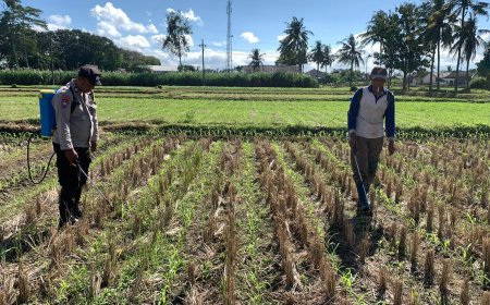 Polres Malang Kawal Pertanian dari Lahan hingga Distribusi Hasil Tani