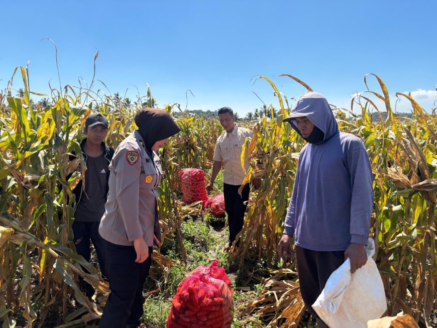 Polres Malang Terus Dampingi Petani, Perkuat Ketahanan Pangan